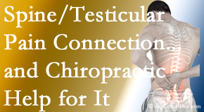 Yorkville Chiropractic and Wellness Centre explains recent research on the connection of testicular pain to the spine and how chiropractic care helps its relief.