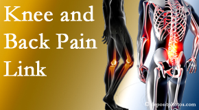 Yorkville Chiropractic and Wellness Centre treats back pain and knee osteoarthritis to help prevent falls.