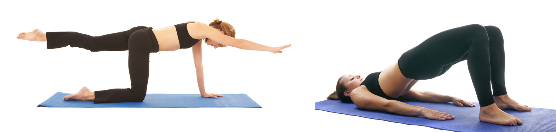 Toronto chiropractic exercise to strengthen multifidus