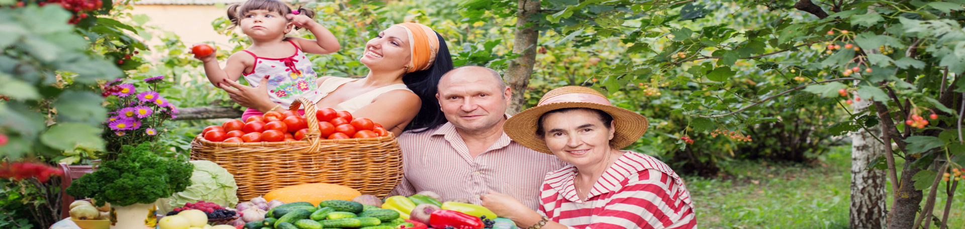 Toronto chiropractic summer health tips