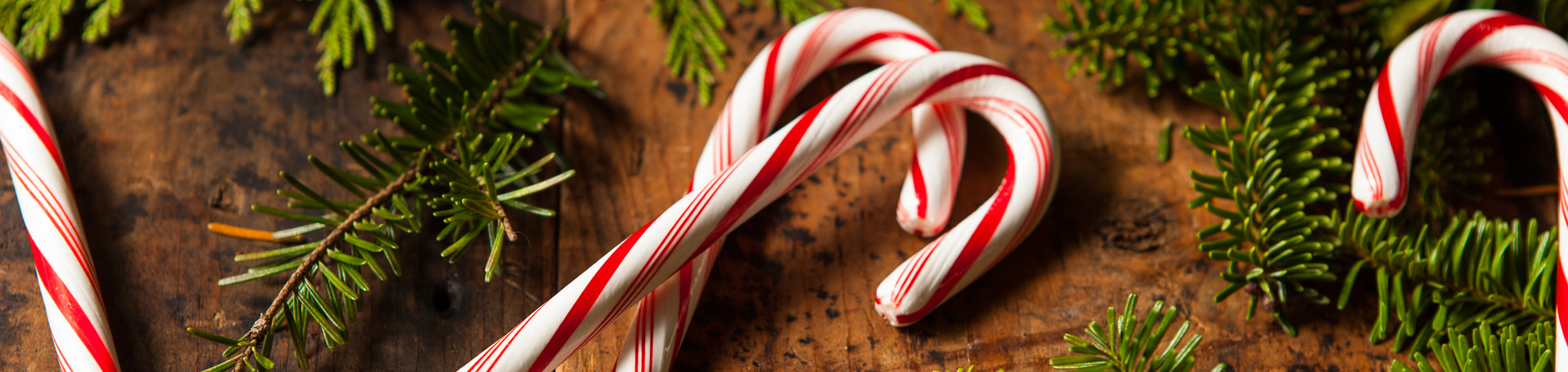 Peppermint for Toronto Cognition & Appetite Regulation!