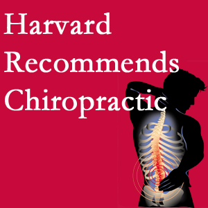 Yorkville Chiropractic and Wellness Centre offers chiropractic care like Harvard recommends.