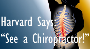 Toronto chiropractic for back pain relief urged by Harvard