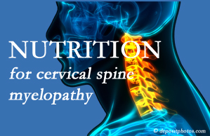 Yorkville Chiropractic and Wellness Centre presents the nutritional factors in cervical spine myelopathy in its development and management.