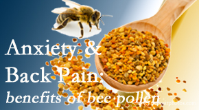 Yorkville Chiropractic and Wellness Centre shares info on the benefits of bee pollen on cognitive function that may be impaired when dealing with back pain.