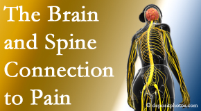 Yorkville Chiropractic and Wellness Centre looks at the connection between the brain and spine in back pain patients to better help them find pain relief.