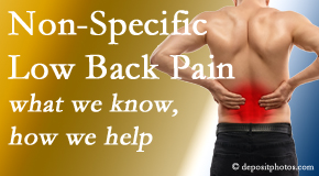 Yorkville Chiropractic and Wellness Centre share the specific characteristics and treatment of non-specific low back pain. 