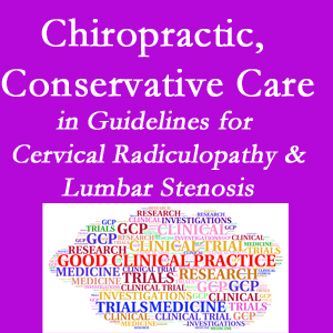 Toronto chiropractic care for cervical radiculopathy and lumbar spinal stenosis is often ignored in medical studies and recommendations despite documented benefits. 