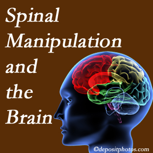 Yorkville Chiropractic and Wellness Centre [presents research on the benefits of spinal manipulation for brain function. 