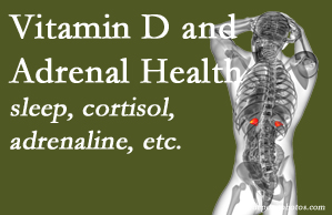 Yorkville Chiropractic and Wellness Centre shares new research about the effect of vitamin D on adrenal health and function.