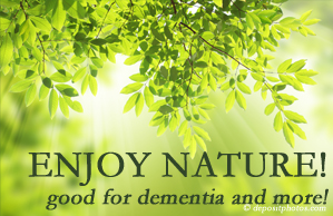 Yorkville Chiropractic and Wellness Centre encourages our chiropractic patients to enjoy some time in nature! Interacting with nature is good for young and old alike, inspires independence, pleasure, and for dementia sufferers quite possibly even memory-triggering.